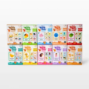 Bộ thẻ học thông minh Flashcard Mini song ngữ Anh-Việt
