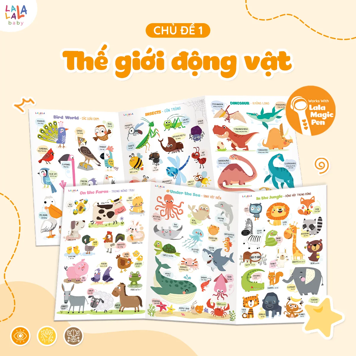 Bảng gấp thông thái My first learning chart - phiên bản plus - Ảnh 12