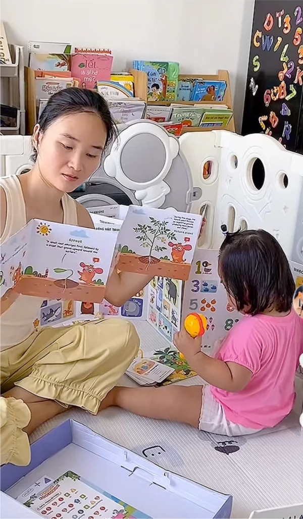 Trang chủ 25