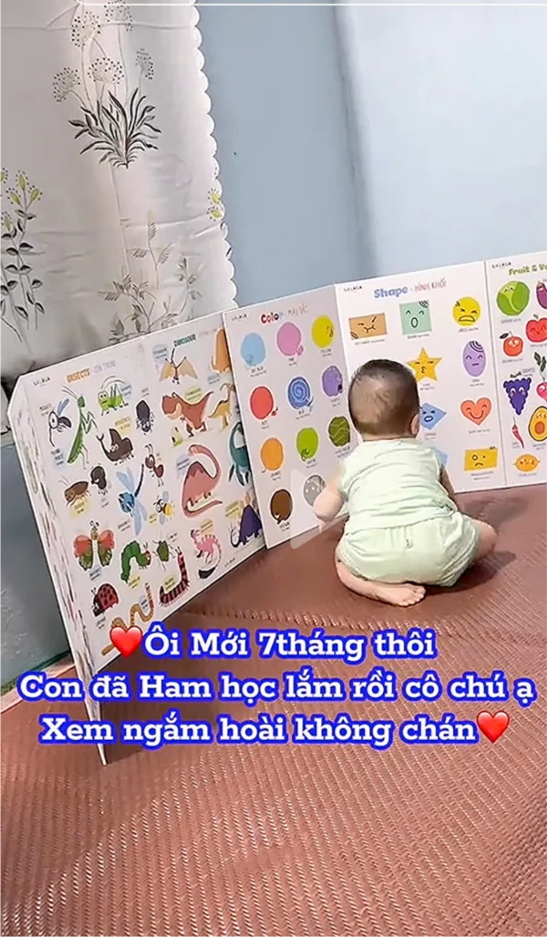 Trang chủ 20