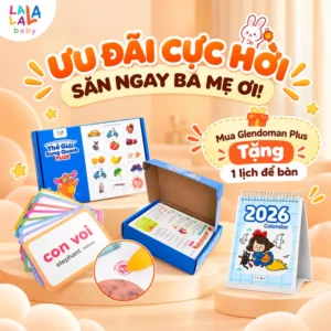 Thẻ Flashcard Glenn Doman 100 thẻ – 10 chủ đề về thế giới xung quanh giúp bé phát triển tư duy ngôn ngữ