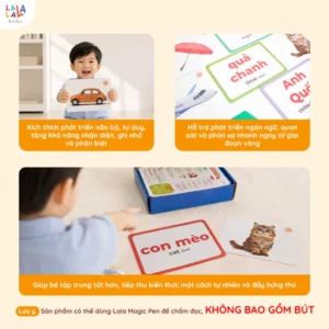 Thẻ Flashcard Glenn Doman 100 thẻ – 10 chủ đề về thế giới xung quanh giúp bé phát triển tư duy ngôn ngữ
