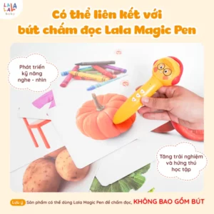 Thẻ Flashcard Glenn Doman 100 thẻ – 10 chủ đề về thế giới xung quanh giúp bé phát triển tư duy ngôn ngữ