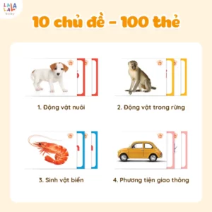 Thẻ Flashcard Glenn Doman 100 thẻ – 10 chủ đề về thế giới xung quanh giúp bé phát triển tư duy ngôn ngữ
