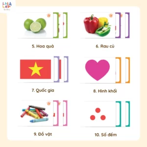Thẻ Flashcard Glenn Doman 100 thẻ – 10 chủ đề về thế giới xung quanh giúp bé phát triển tư duy ngôn ngữ