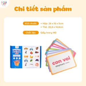 Thẻ Flashcard Glenn Doman 100 thẻ – 10 chủ đề về thế giới xung quanh giúp bé phát triển tư duy ngôn ngữ