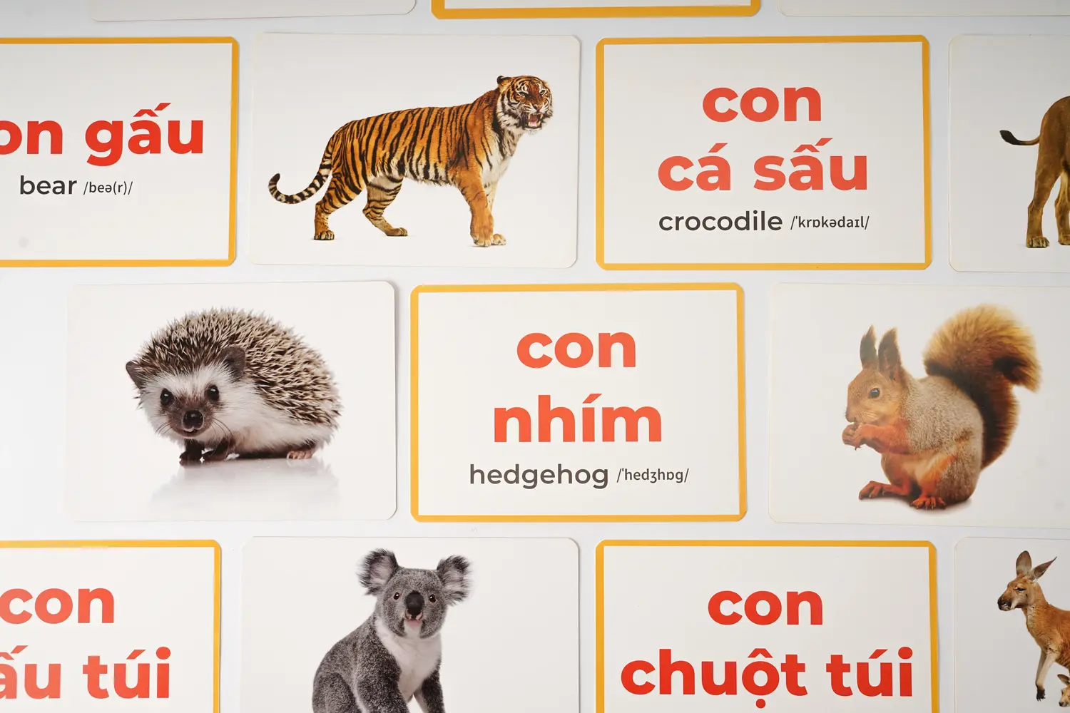 Thẻ flashcard một mặt là hình ảnh, một mặt là từ vựng theo phương pháp Glenn Doman